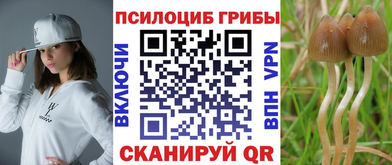 ОМГ ОМГ ссылки Бакал Псилоцибиновые грибы прущие грибы даркнет сайт
