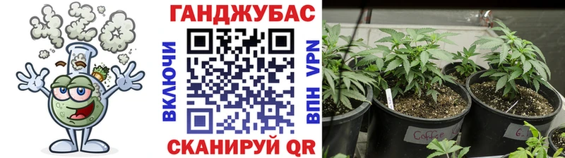 даркнет Telegram  Бакал  Конопля Amnesia  mega ONION 